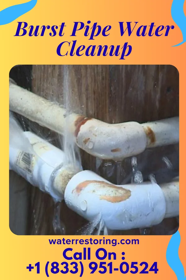Burst Pipe Water Cleanup in Gosport, IN