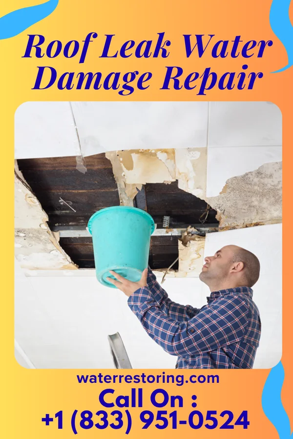 Roof Leak Water Damage Repair in Gosport, IN