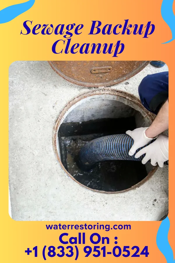 Sewage Backup Cleanup in Gosport, IN