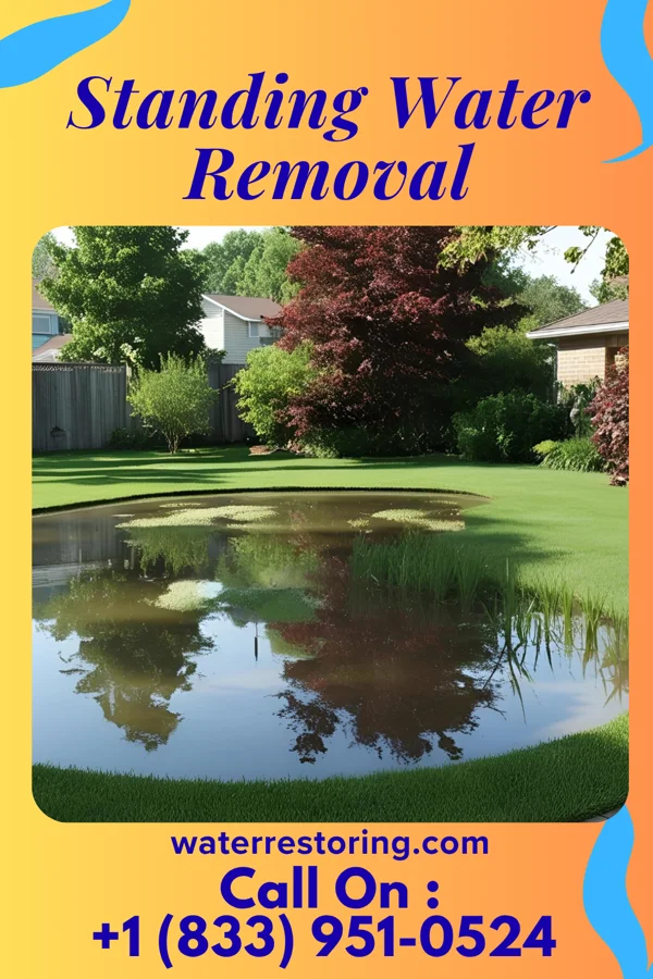 Standing Water Removal in Gosport, IN